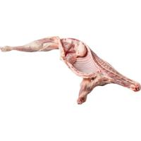 Cordero lechal limpio, pieza al peso aprox. 7.5 kg