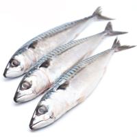 Caballa-Verdel, al peso, compra mínima 500 g