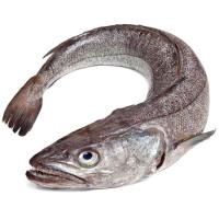 Pescadilla de costa, pieza al peso aprox. 750 g