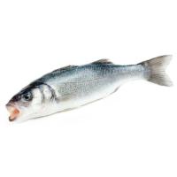 E. NATUR GGN hazkuntzako lupia, pieza pisura gutxi gorabehera 1 kg