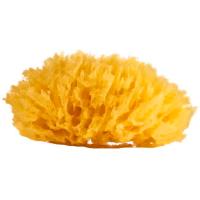 Esponja marina SUAVIPIEL, 1 ud