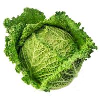 Repollo rizado, pieza al peso aprox. 1 kg