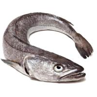 Merluza grande, pieza al peso aprox. 2.5 kg