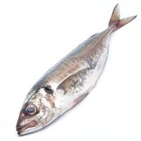 Chicharro, pieza al peso aprox. 500 g