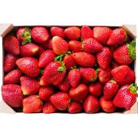 Fresa, caja 1 kg Fresa, caja 1 kg