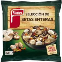 Selección de setas FINDUS, bolsa 200 g