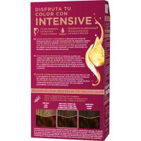 Tinte Intensive N.5.68 castaño rojizo PALETTE, caja 1 ud
