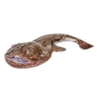 Rape negro del País Vasco, pieza al peso aprox. 1.6 kg