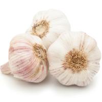 Ajo blanco GOLD, al peso, compra mínima 500 g Ajo blanco GOLD, al peso, compra mínima 500 g