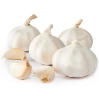 Ajo blanco EROSKI, malla 400 g