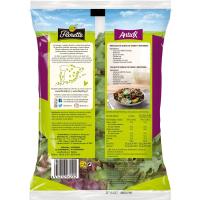 Ensalada Antiox FLORETTE, bolsa 100 g