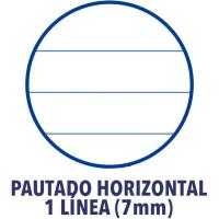 Libreta A5, rayado 1 linea, plástico ¿Cuál te llegará? 400073337 OXFORD, 48 hojas