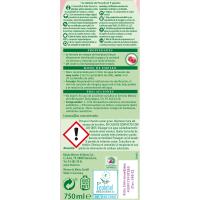 Lavavajillas frambuesa FROSCH, botella 750 ml