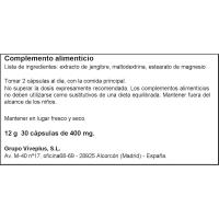 Jengibre vegetal advance VIVE+, caja 30 uds