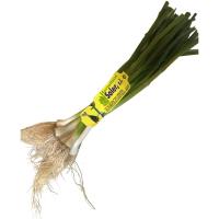 Ajo fresco HORTALIZAS SOLER, manojo 125 g