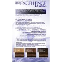Tinte castaño claro N.5.00 EXCELLENCE, caja 1 ud