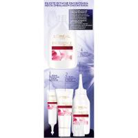 Tinte castaño oscuro N.3.00 EXCELLENCE, caja 1 ud