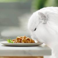 Perle delicias en salsa pollo/buey gato GOURMET, pack 4x85 g