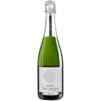 Cava Brut VALL D`LLUNA, botella 75 cl