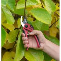 Tijera de poda bypass de acero carbono KREATOR, 1 ud