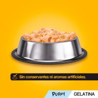 Alimento de pollo-arroz para perro junior PEDIGREE, pack 4x100 g