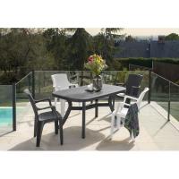 Sillón Queen simil ratán antracita