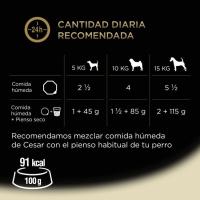Alimento de pollo para perro CESAR, tarrina 300 g