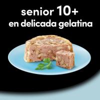 Alimento multipack para perro senior CESAR, pack 4x150 g