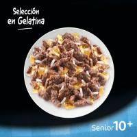 Alimento de pollo-arroz para perro senior CESAR, pack 4x100 g