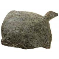 NEPTURA hazkuntzako erreboiloa, pieza pisura gutxi gorabehera 2.2 kg