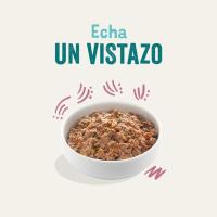 Alimento de pato-pollo cachorro EDGARD&COOPER, tarrina 100 g