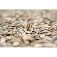 Pipas aguasal PIPONAZO, bolsa 95 g