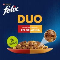 Duo Festin de sabores FELIX FANTASTIC, pack 4x85 g