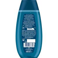 Champú&gel kid blueberry SCHWARZKOPF, bote 250 ml