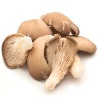 Seta ostra EUSKAL BASERRI, bandeja 200 g