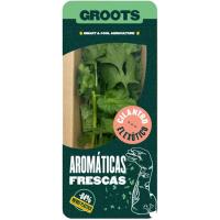 Cilantro GROOTS, bandeja 20 g