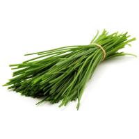 Cebollino GROOTS, bandeja 20 g