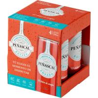 Vino Rosado de aguja PEÑASCAL, pack lata 4x25 cl