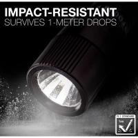 Linterna Led Metal, foco ajustable, pila (LR03AAA) incluida, X-Focus ENERGIZER