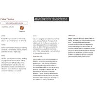 Tinto Joven M. Carbónica Rioja SOLAGÜEN, botella 75 l