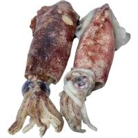 Txibia ertain izoztua 3/6, pisura, gutxieneko erosketa 500 g