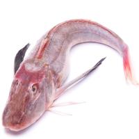 Rubio de País Vasco, pieza al peso aprox. 1 kg