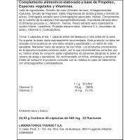 Propóleo con Echinacea NATURTIERRA, bote 45 uds