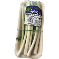Brote de puerro HORTALIZAS SOLER, bandeja 125 g