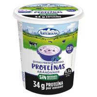 Queso fresco batido con arándanos ASTURIANA, tarrina 400 g Queso fresco batido con arándanos ASTURIANA, tarrina 400 g
