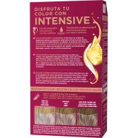 Tinte rubio muy claro plata 10-91 PALETTE INTENSE, caja 1 ud