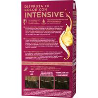 Tinte 4-1 castaño medio ceniza PALETTE INTENSE, caja 1 ud