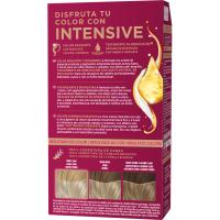 Tinte 10-1 rubio ultra claro ceniza PALETTE INTENSE, caja 1 ud