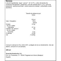 Bebida de naranja KOMVIDA, botella 250 ml
