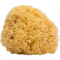Esponja natural grande SUAVINEX, 1 ud